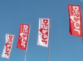 Company's logo flags for the Dispol building materials warehouse